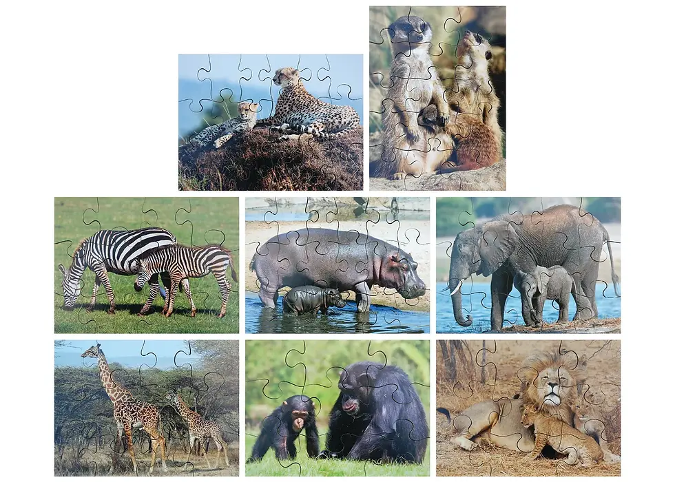 Mothers & Their Young Puzzles - Set of 8
