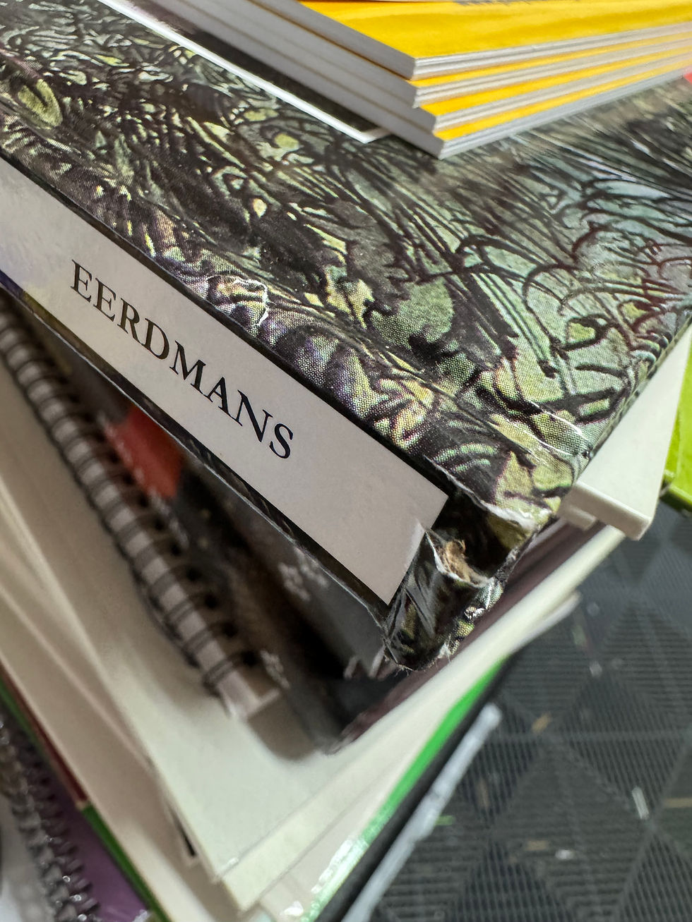 Thumbnail: Dangerous Journey Reader - damaged