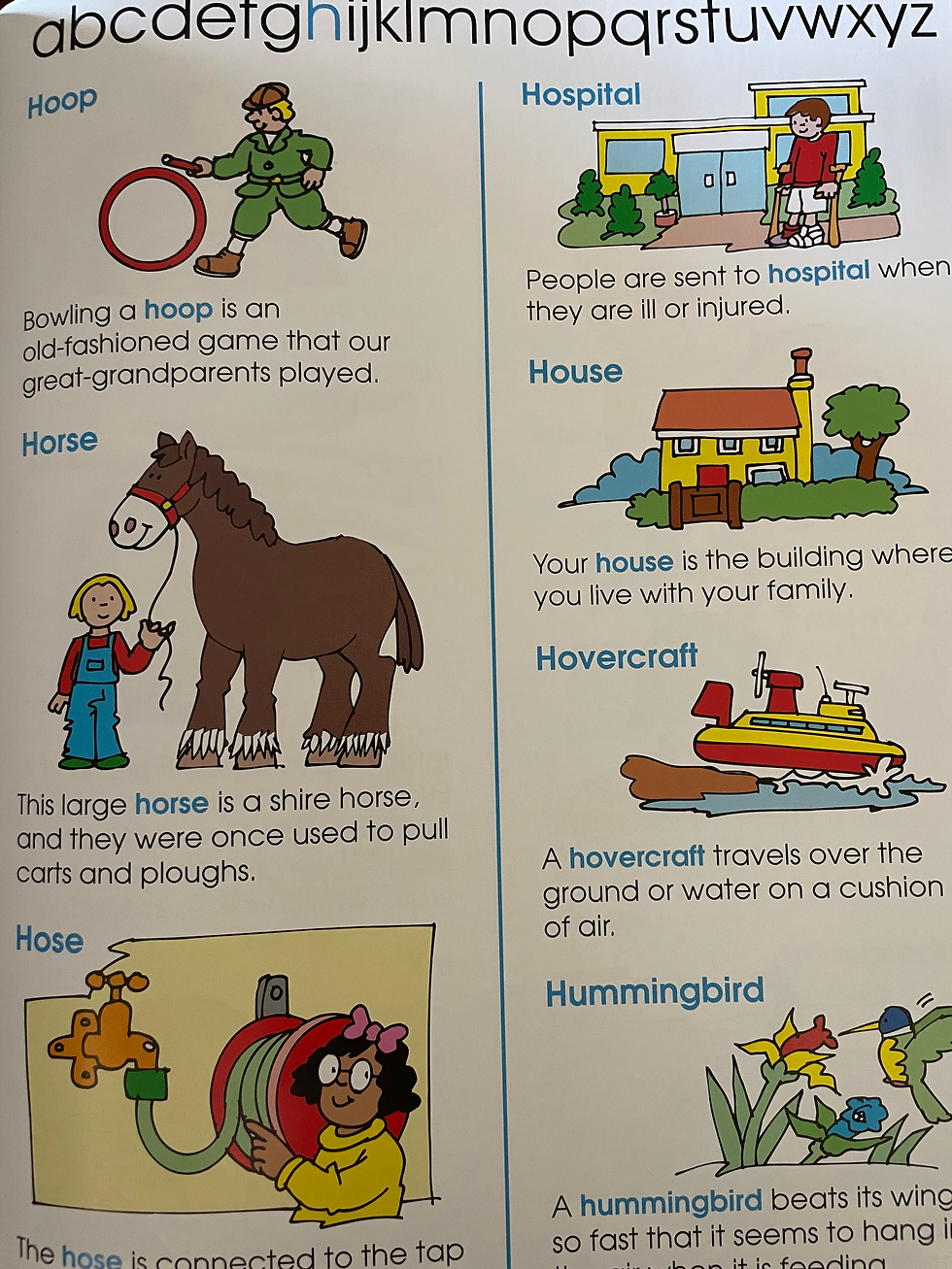 Thumbnail: My Frist Picture Dictionary Hardcover 
