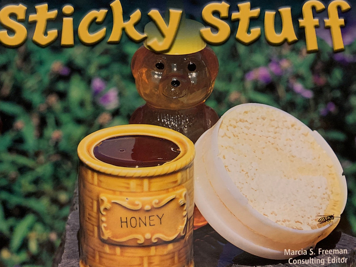 Sticky Stuff Level 15 (MacMillan Take Home) 