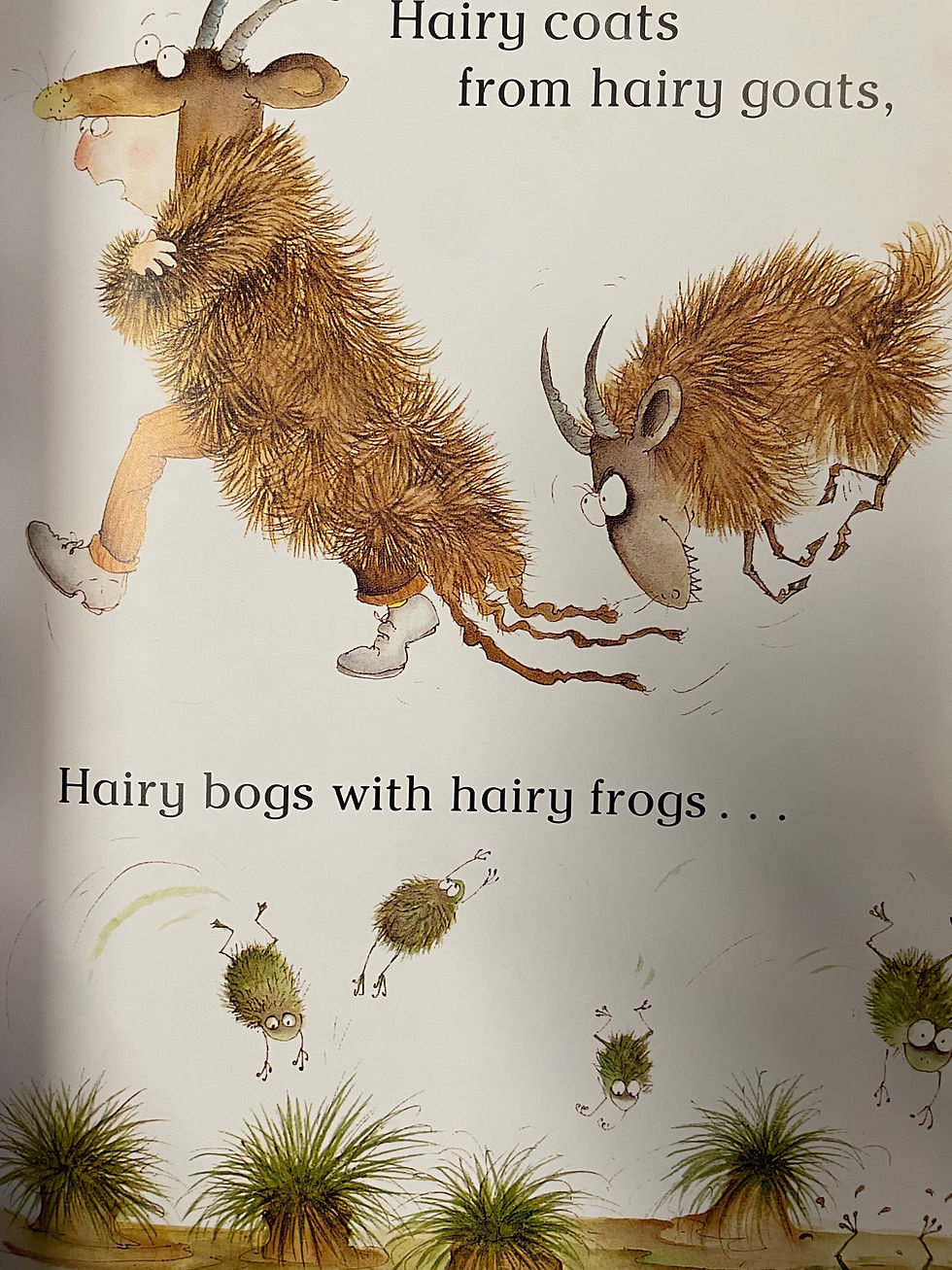 Thumbnail: The Hairy Book by Babette Cole 