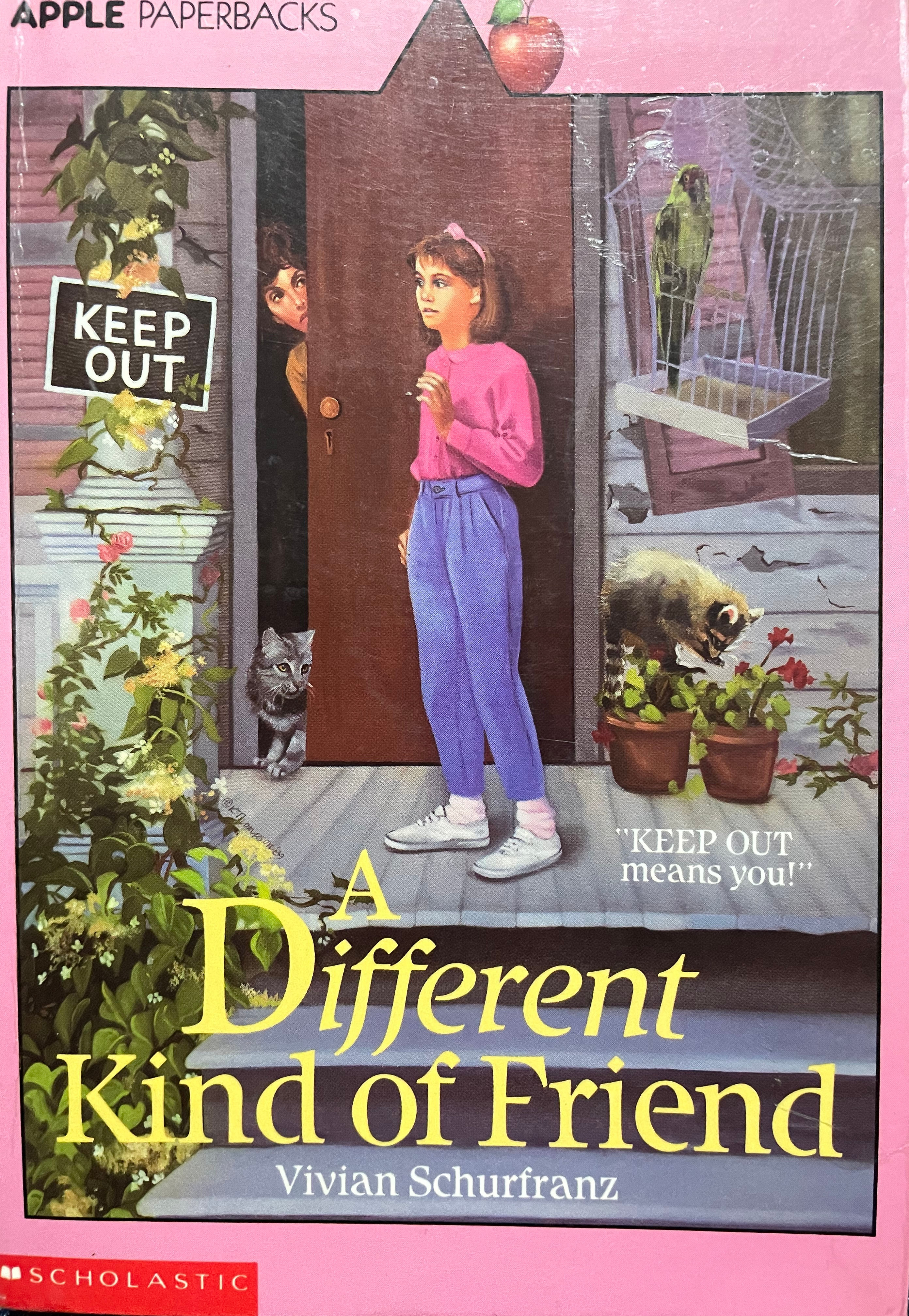 A Different Kind of Freind by Vivian Schurfranz