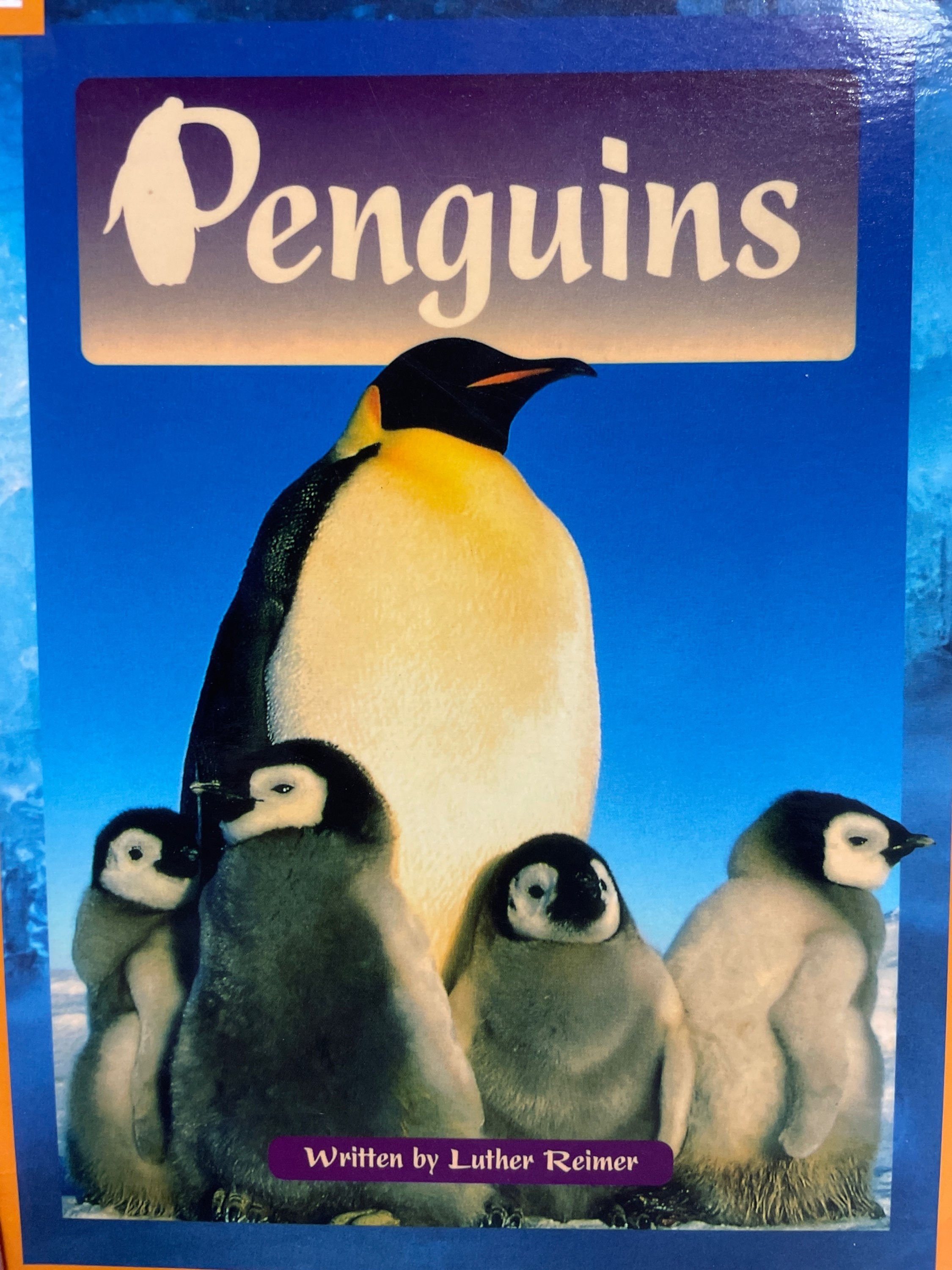 Penguins Level 21 (Macmillian Reading Bug)