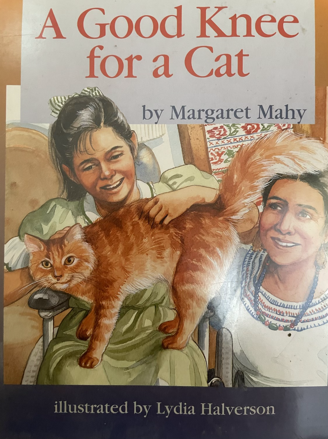 A Good Knee for a Cat by Margaret Mahy Level 15/16 (Learning Media)