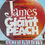 Thumbnail: Roald Dahl James & the Giant Peach Activity Book 