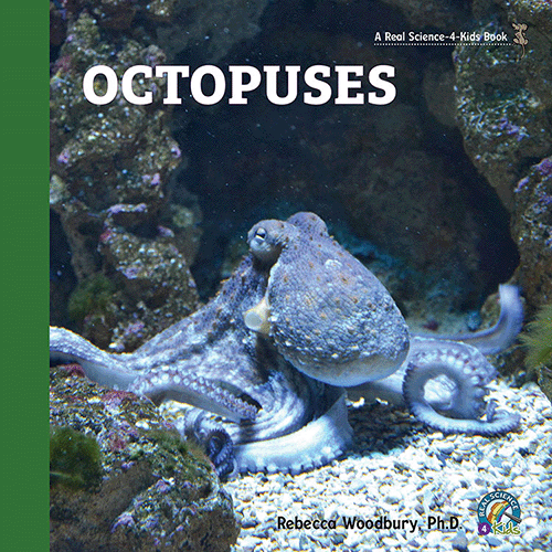 Octopuses