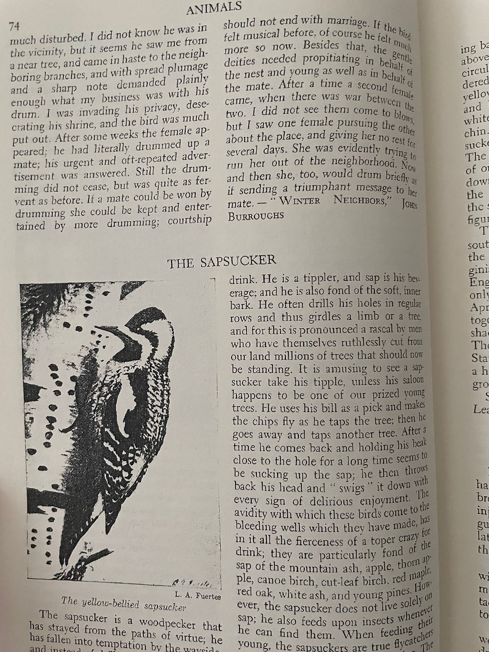 Thumbnail: Handbook of Nature Study by Anna Botsford Comstock