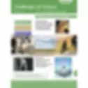 Challenges in Science Book 1