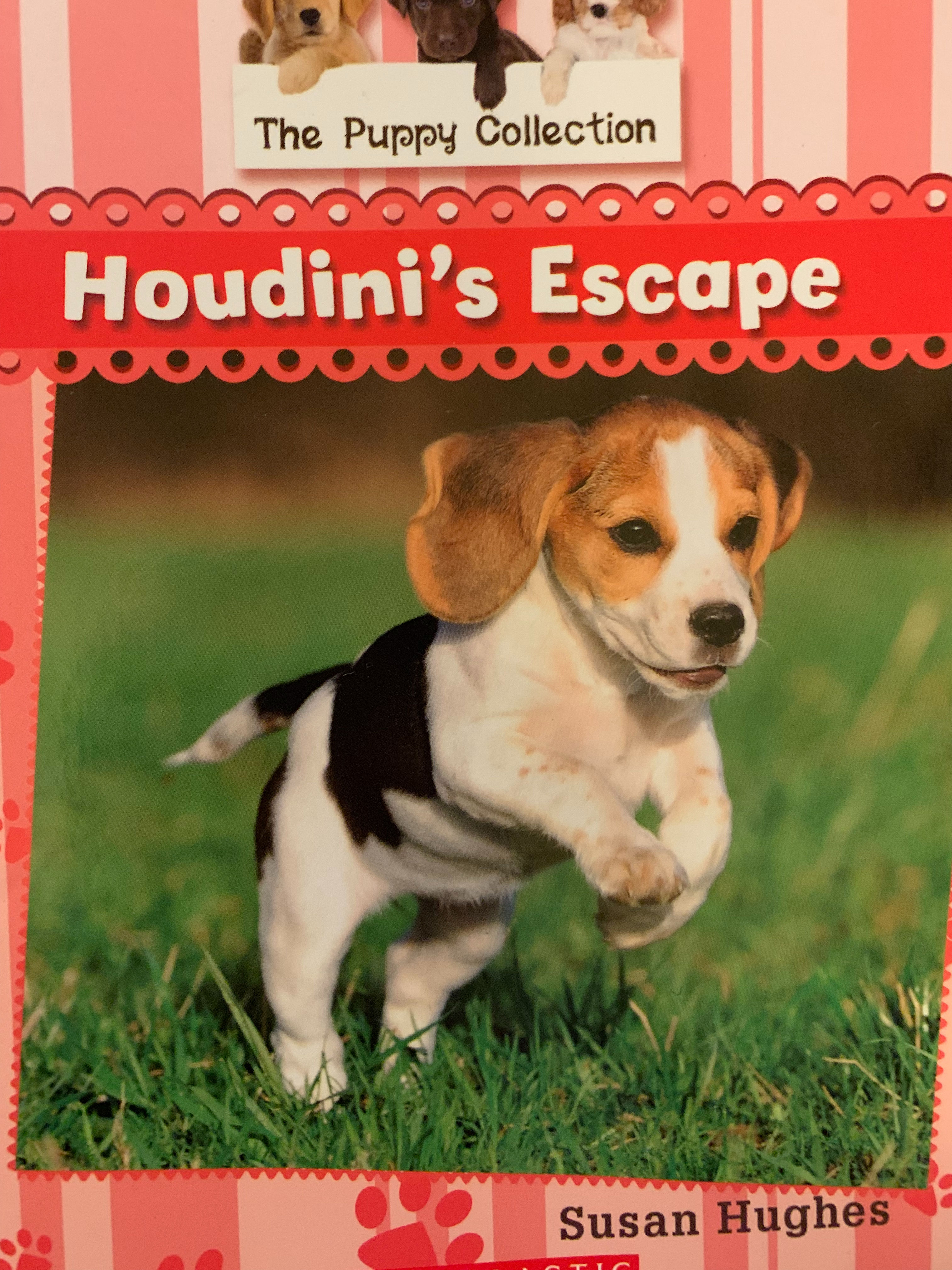 Houdini’s Escape (The Puppy Collection) By Susan Hughes