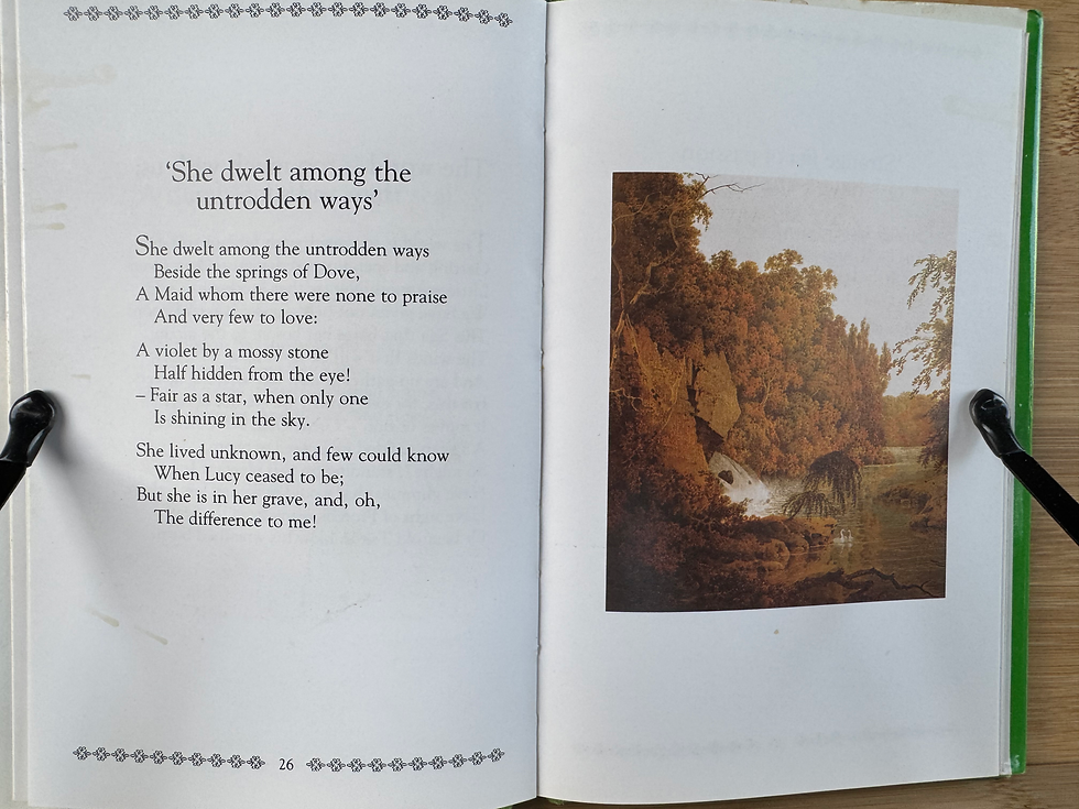 Thumbnail: The Illustrated Poets William Wordsworth