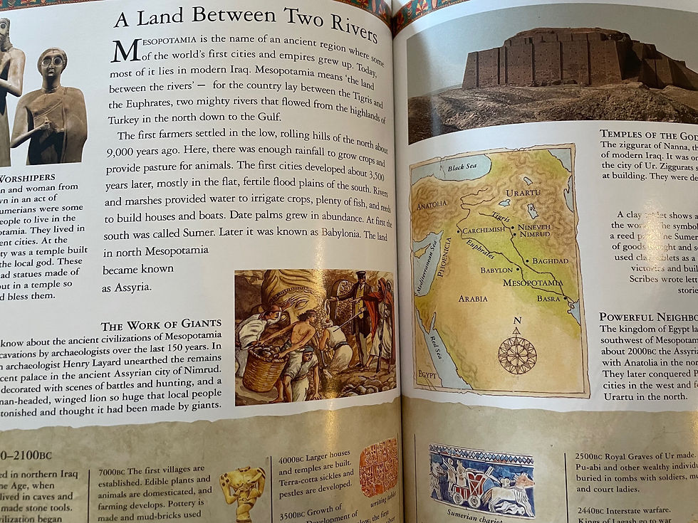 Thumbnail: Everyday Life In Ancient Egypt & Mesopotamia by Lorna Oakes 