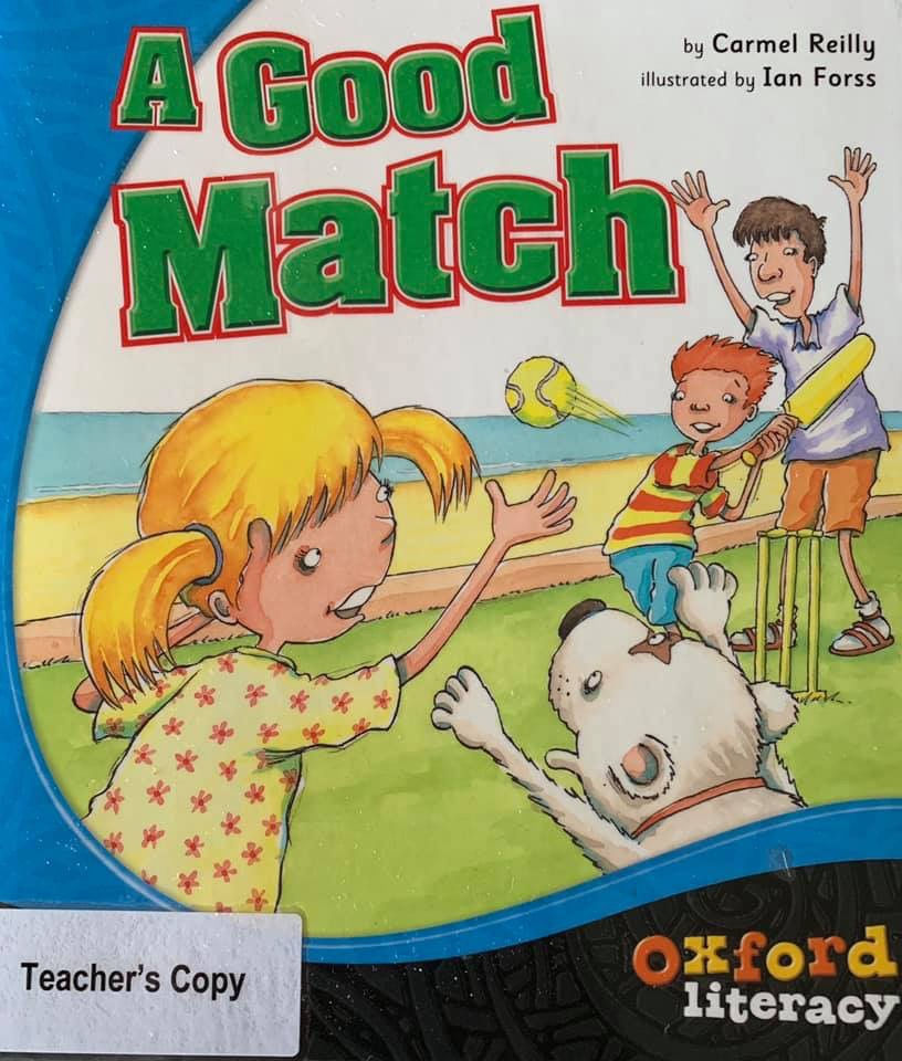 Thumbnail: A Good Match Student & Teacher Books Level 11