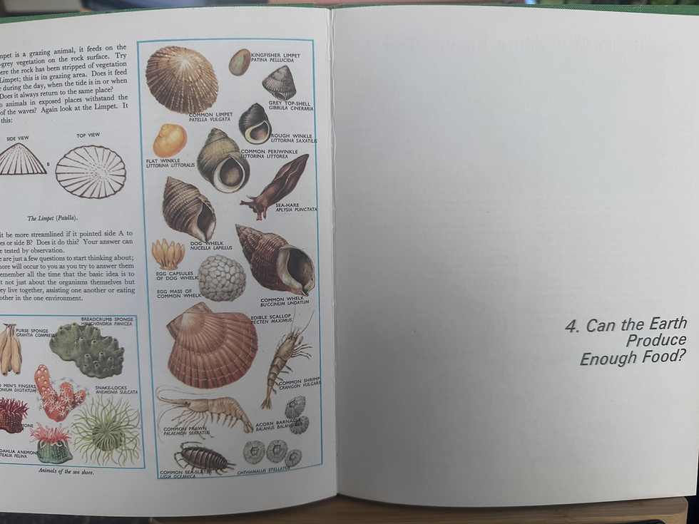 Thumbnail: A Secondary Book of Biology - Ecology and Applied Biology by KW Rogers