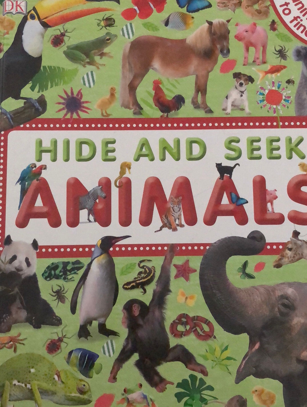 DK Hide & Seek Animals Large Hardcover 