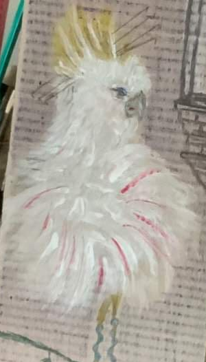 Parrot - Tatyana - Acrylic and Pencils