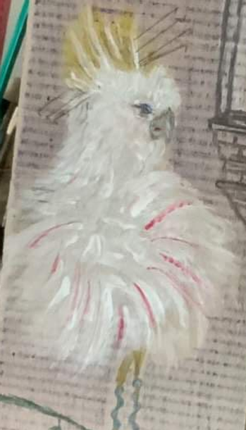 Parrot - Tatyana - Acrylic and Pencils -