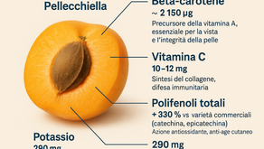 Albicocca Pellecchiella: L’oro arancione del Vesuvio che protegge occhi, pelle e biodiversità