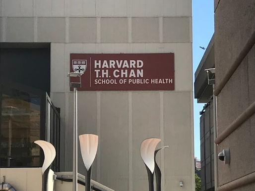 Uno studio di Harvard Conferma il Potere dell'Attività Fisica