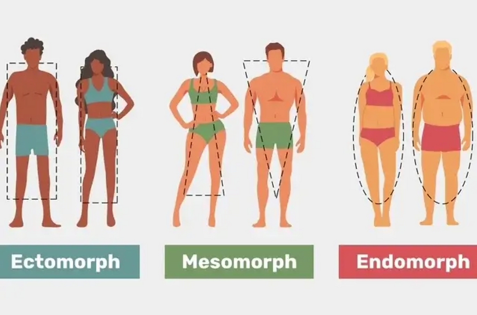 Il Somatotipo: Che Cos'è e in Quali Categorie si Divide