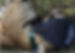 Projeto UFMS