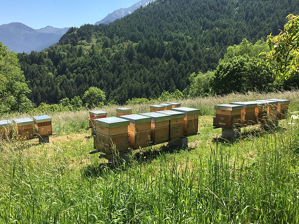Soubras, alta montagna, SlowFood