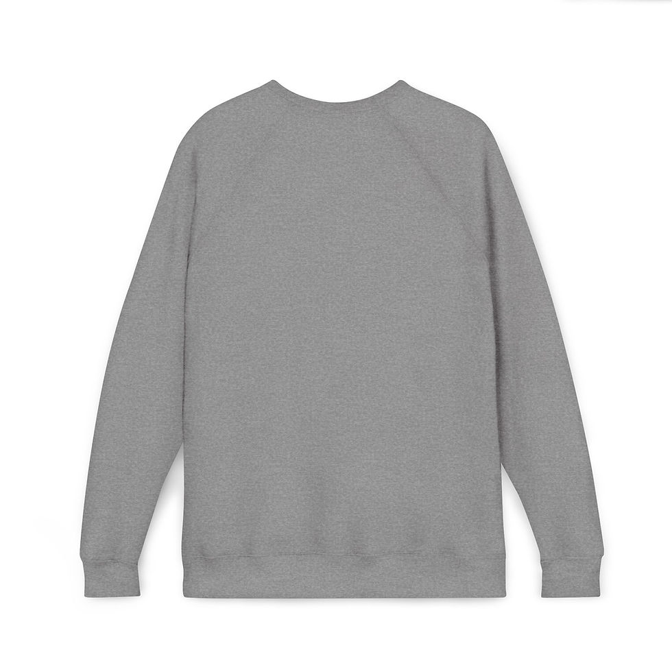 Thumbnail: Close-up back view of the grey Unisex Sponge Fleece Raglan Sweatshirt, emphasizing the plush fleece texture and clean back.