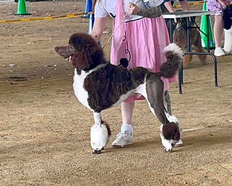 1000036996 (1)_edited.jpg