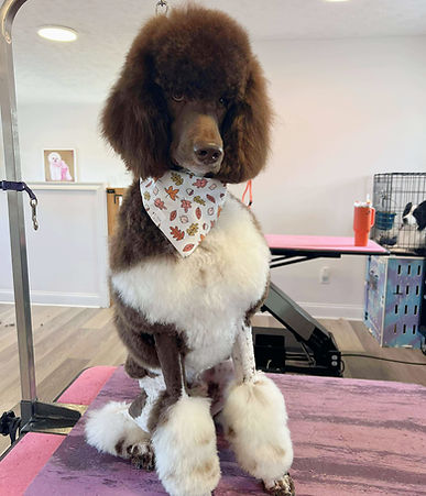 1000036994 (1)_edited.jpg