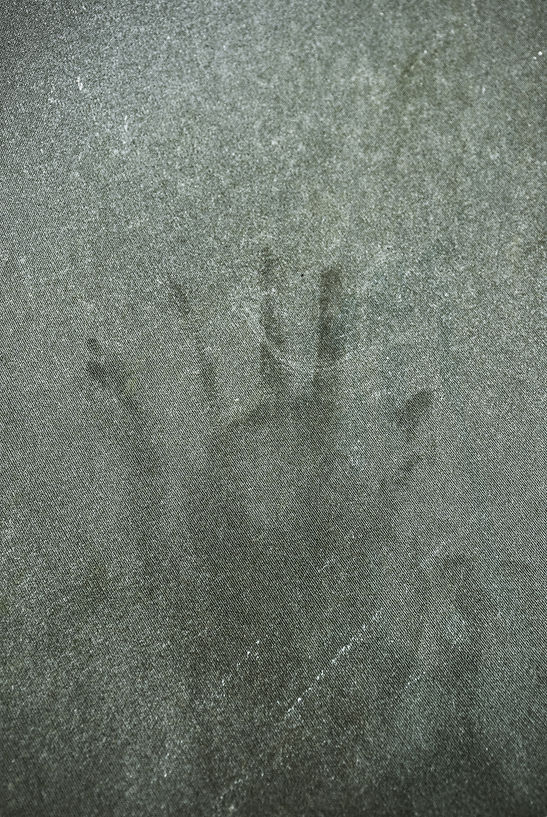 DSC_6112.jpg