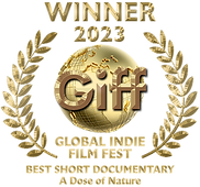 Giff-Gold-Awards-2023-Sdoco.png