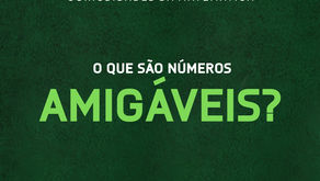 O QUE SÃO NÚMEROS AMIGÁVEIS