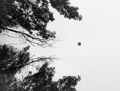 Levitation-1.JPG