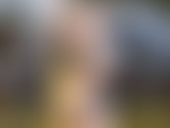 Defending Lydia Collier - Update Progress