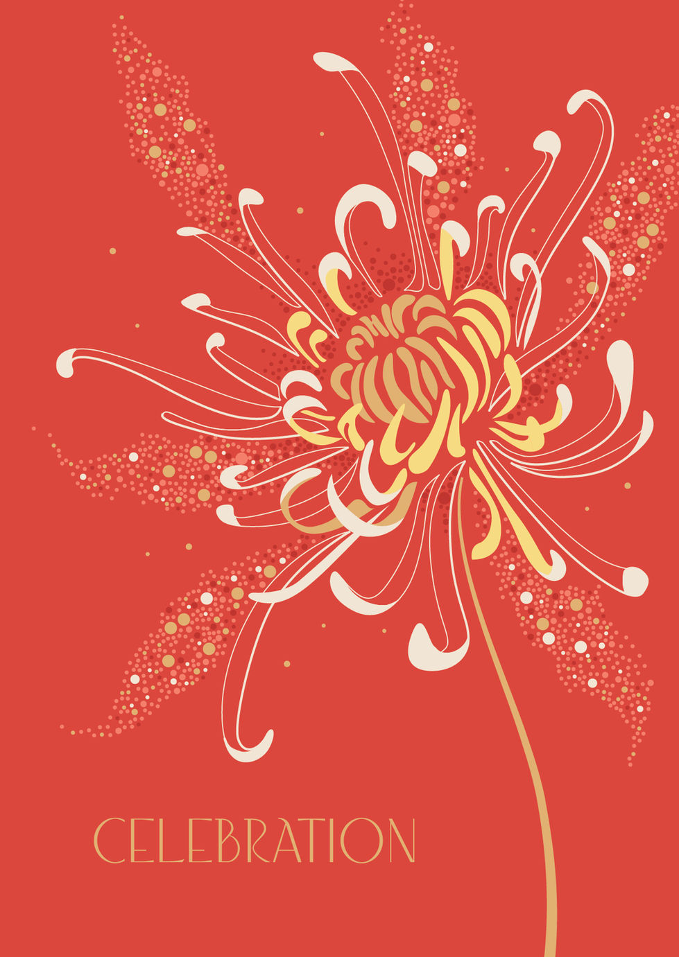 Celebration Chrysanthemum 