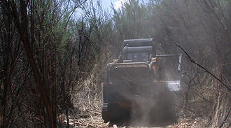 DSCN4777.JPG