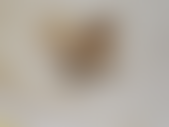 Why Cleaning Visible Mould Isn’t Enough - The Hidden Danger of Mycotoxins in New Zealand Homes