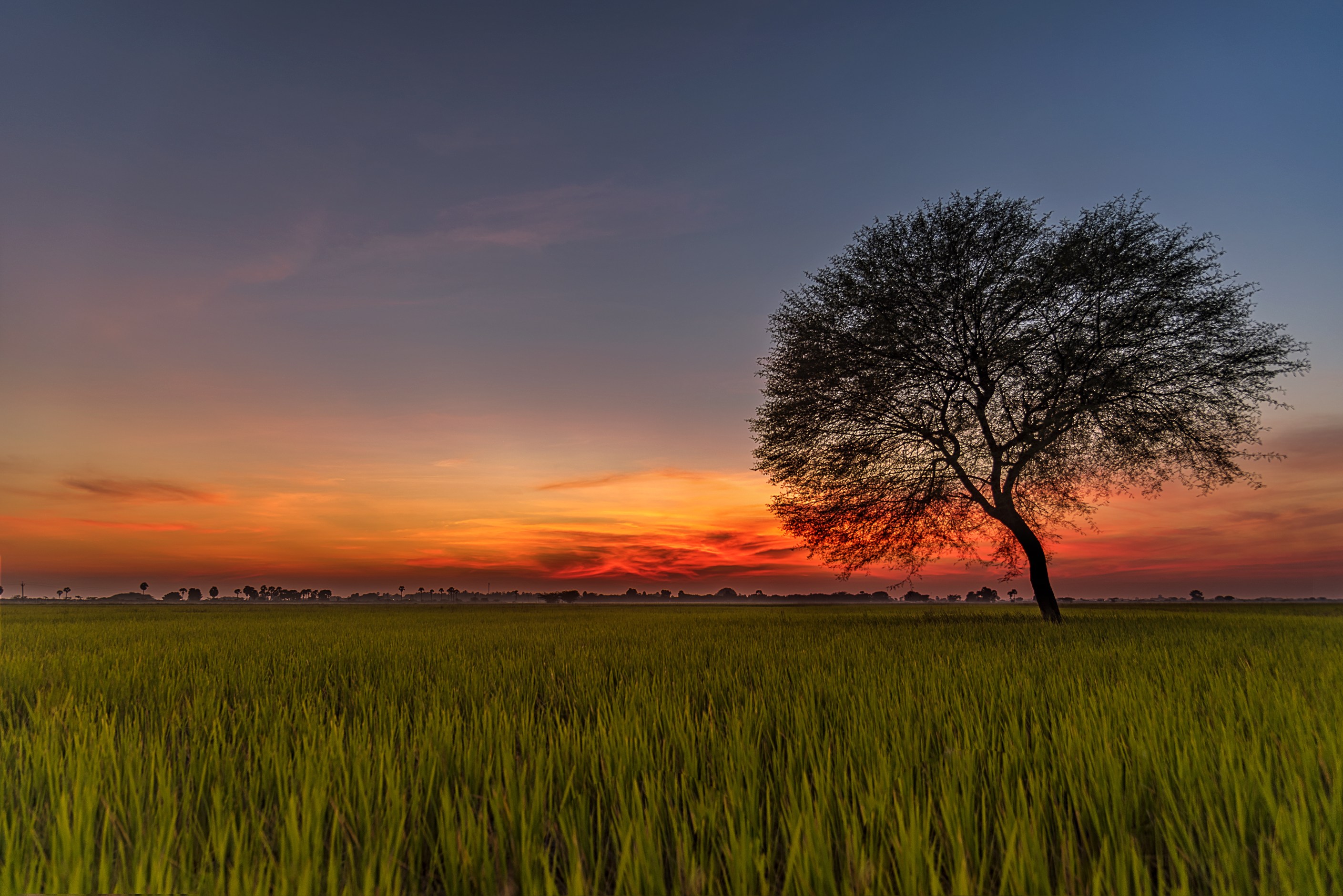 Solitude