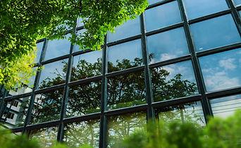 eco friendly office.jpg