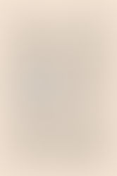 Legittimità di licenziamento svincolata dalla sentenza penale di assoluzione