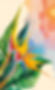Fiori. Agenda 2026