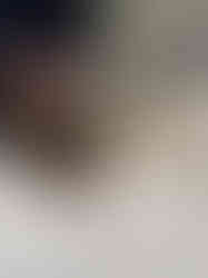 WhatsApp Image 2026-03-11 at 2.24.50 PM (19).jpeg