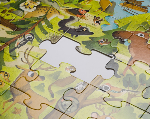 Foreste. Libro puzzle cerca & trova | White Star