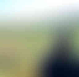 Agricoltura di emergenza nel Kivu Okapia Onlus