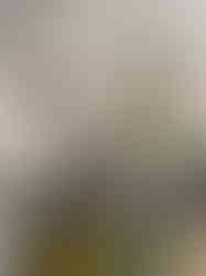 WhatsApp Image 2025-05-06 at 18.34.53