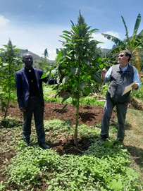 Agricoltura di emergenza nel Kivu Okapia Onlus