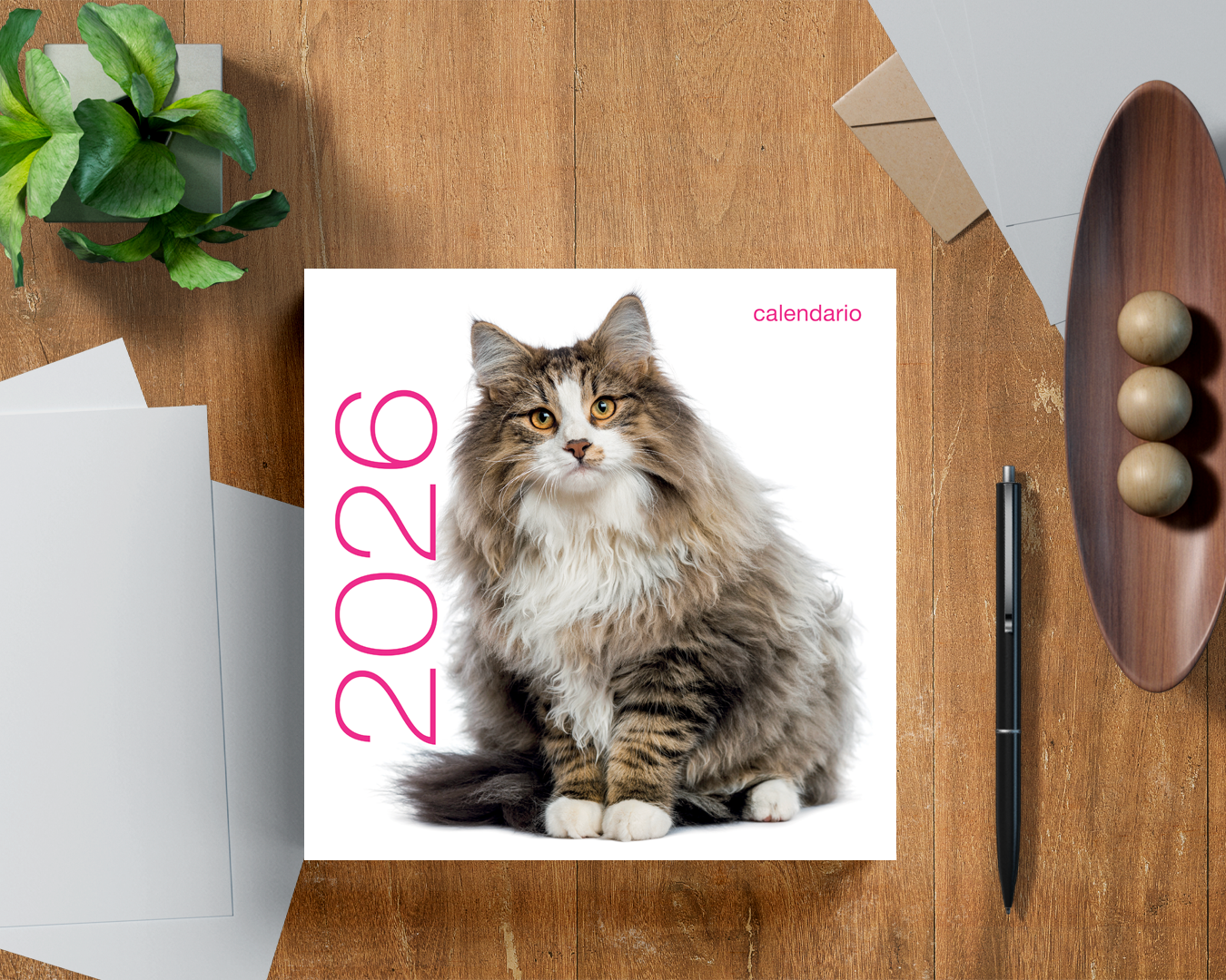 Gatti. Calendario da muro 2026