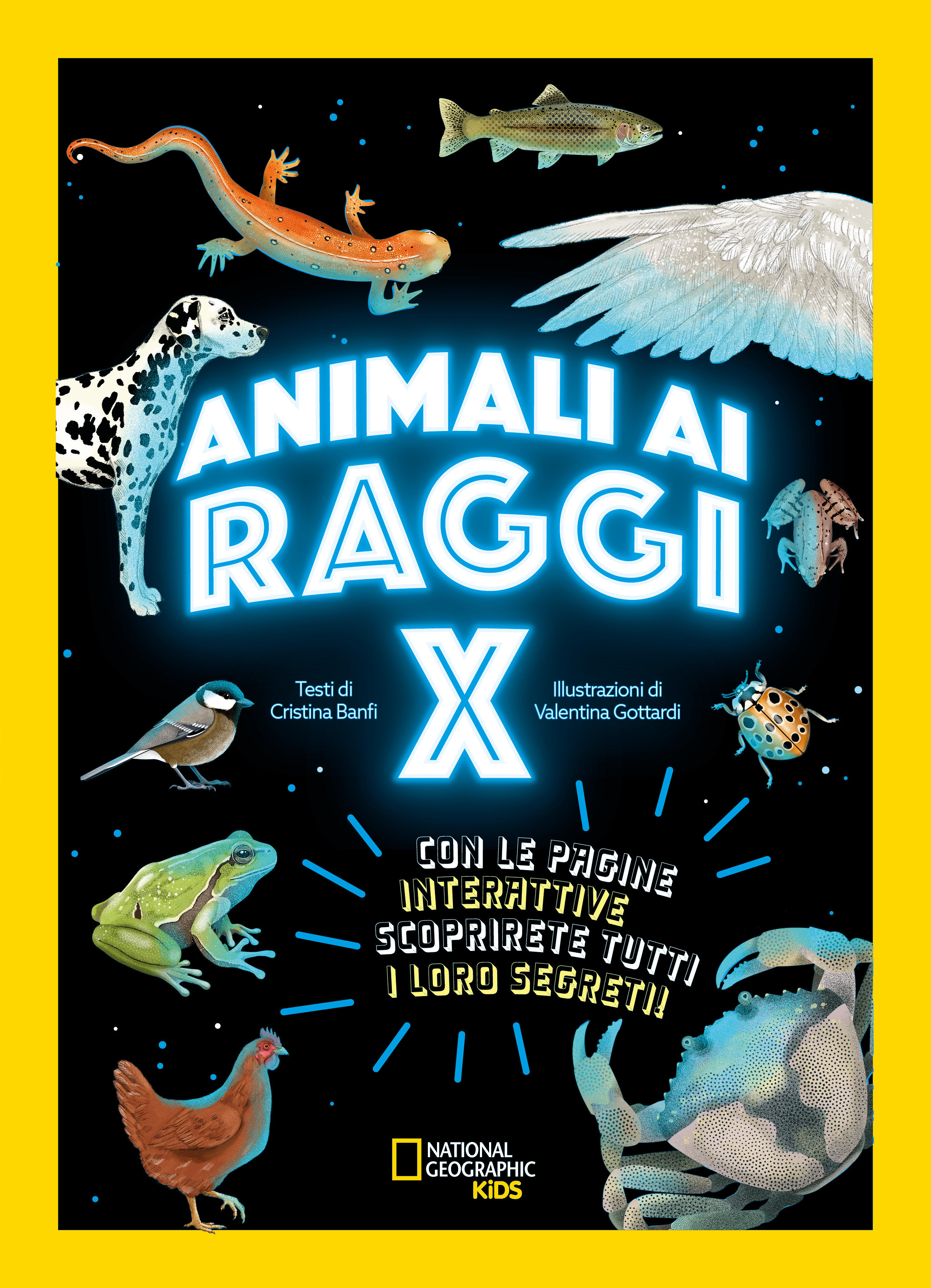 Animali ai raggi X