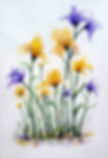 Irises