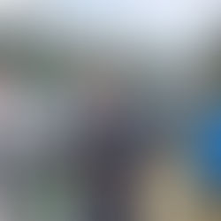 My Professional Background