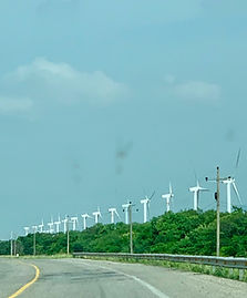 IMG_7594.jpeg